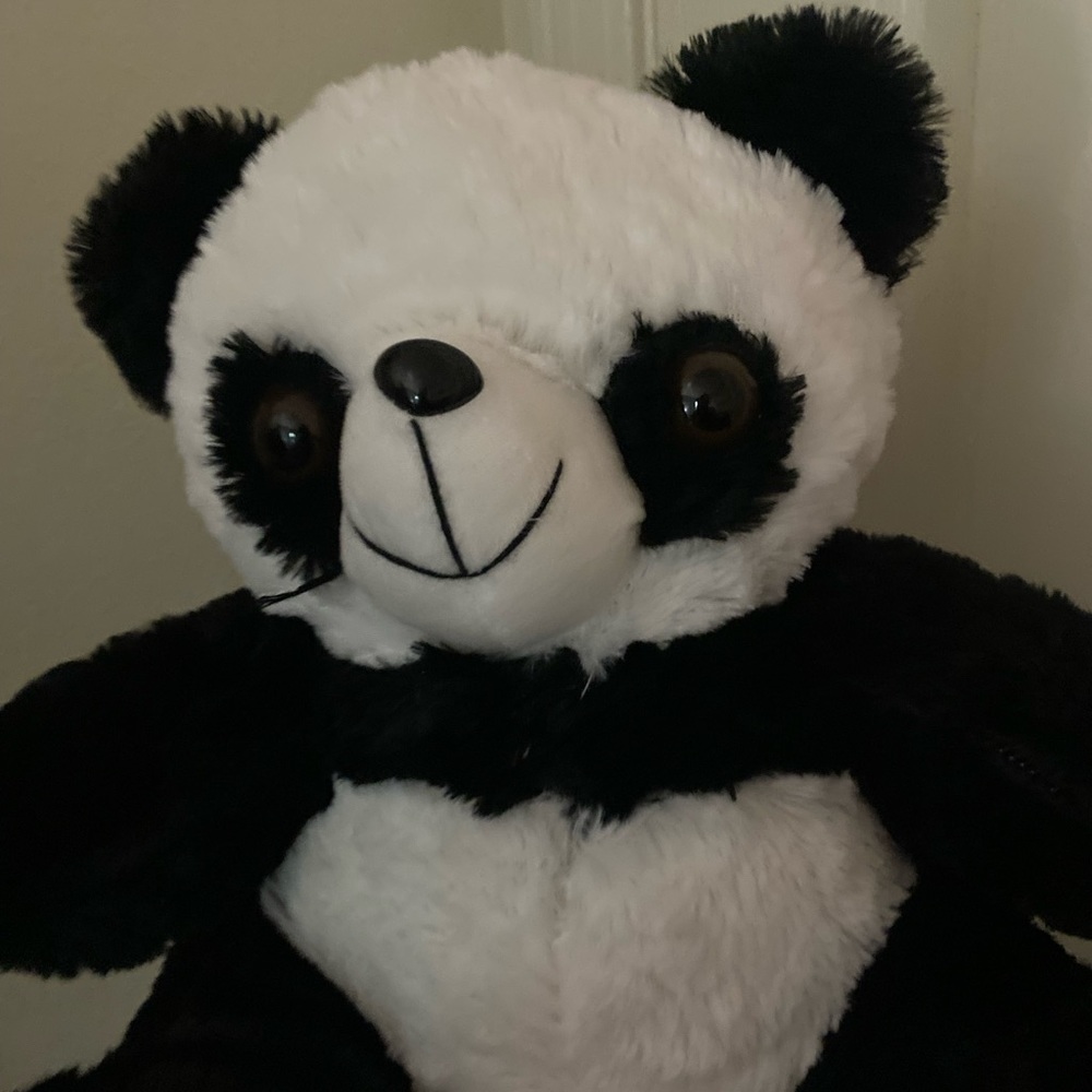 Stuffed Panda 🐼